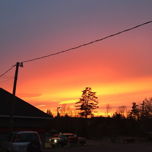 Meet your Posher, Gina - Picture 1 of 1